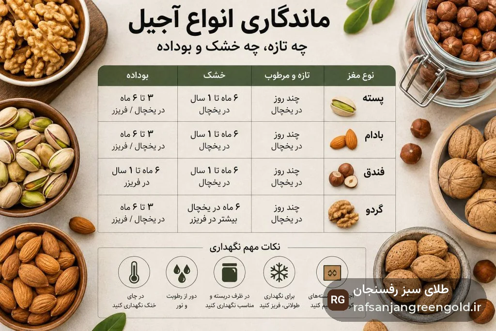 راز ماندگاری آجیل تازه چیست؟ راهنمای کامل نگهداری پسته، بادام، فندق و گردوی تازه
